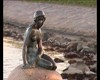 V�deo: Delegaci�n de Think Gaur en Coppenaghe
